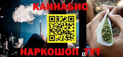 крисы Кулебаки