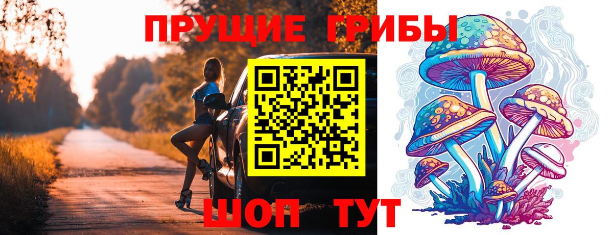 Псилоцибиновые грибы Psilocybe  купить наркоту  Галлюциногенные грибы Psilocybe  Щёлково  Вход с VPN 